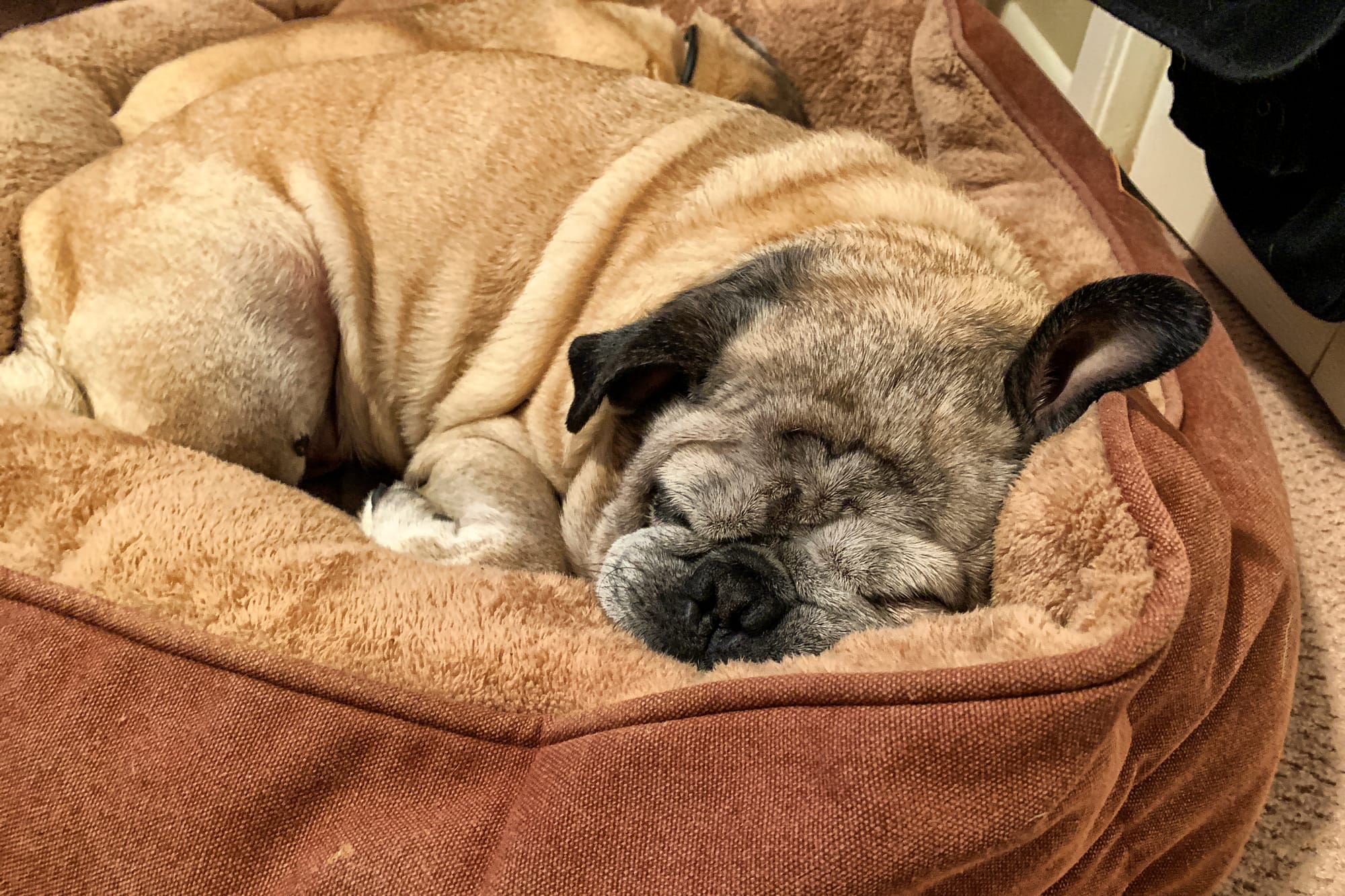 The Ballad of Johnny & June—Verse 3