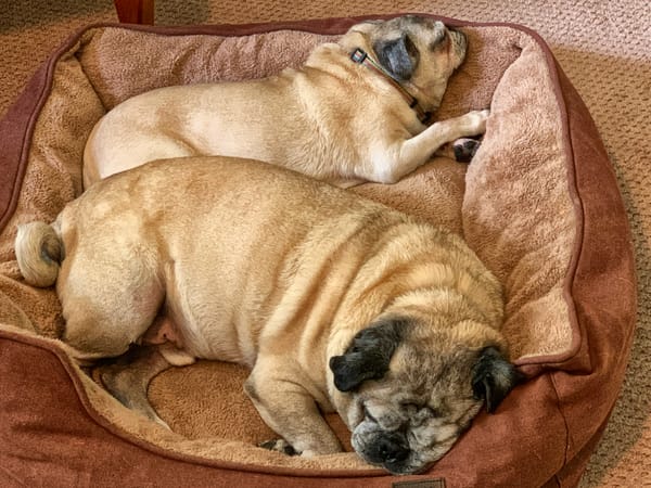 The Ballad of Johnny & June—Verse 1