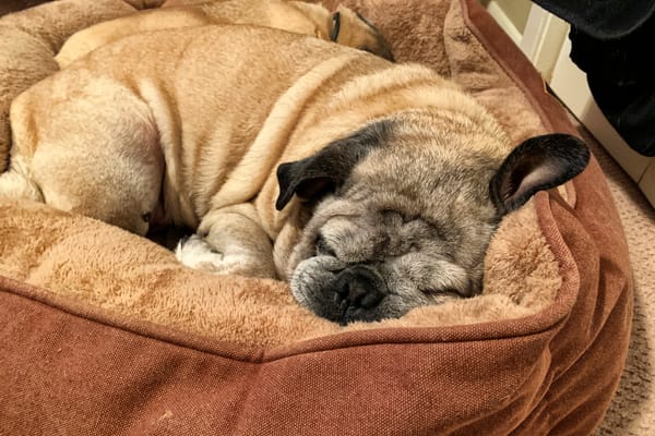 The Ballad of Johnny & June—Verse 3