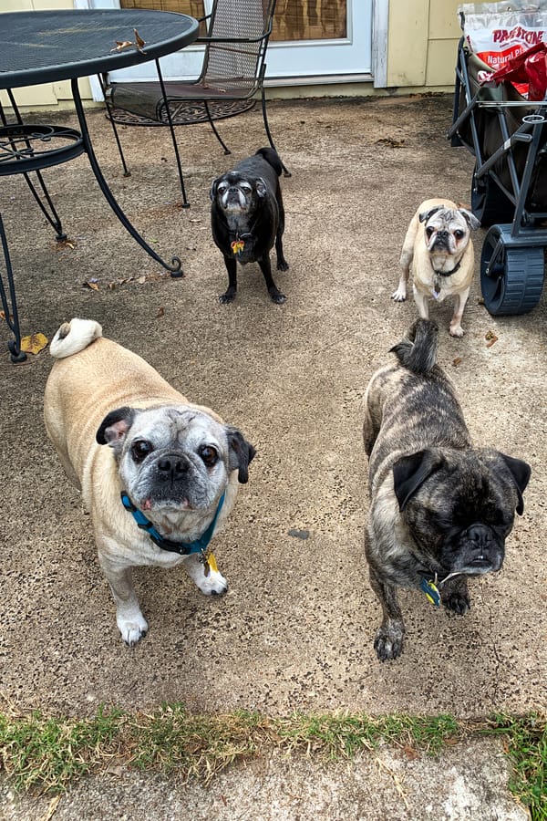 The Ballad of Johnny & June—Verse 2