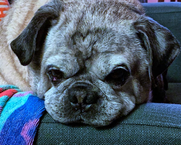 The Ballad of Johnny & June—Verse 5